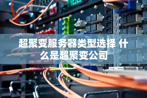 超聚变服务器类型选择 什么是超聚变公司