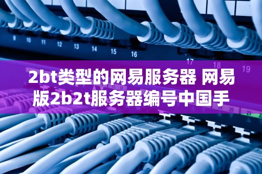 2bt类型的网易服务器 网易版2b2t服务器编号中国手机版