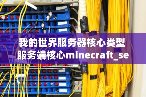 我的世界服务器核心类型 服务端核心minecraft_server