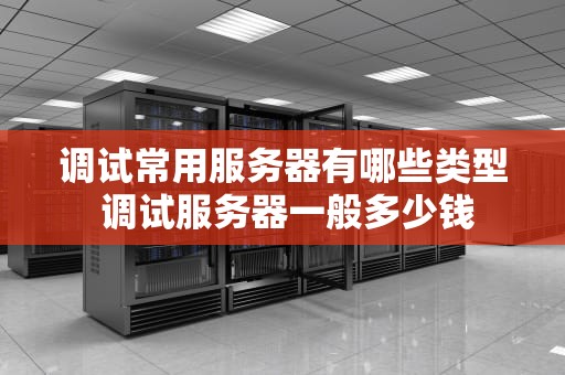 调试常用服务器有哪些类型 调试服务器一般多少钱