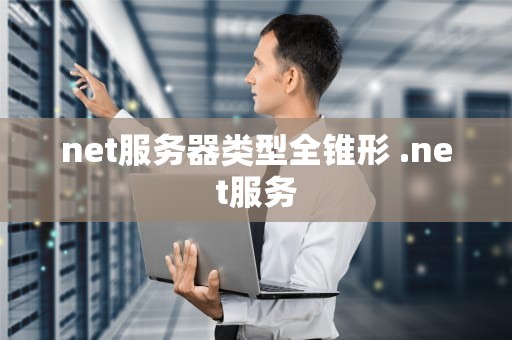 net服务器类型全锥形 .net服务
