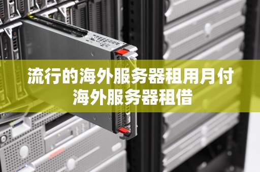 流行的海外服务器租用月付 海外服务器租借