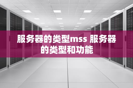 服务器的类型mss 服务器的类型和功能