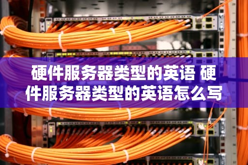 硬件服务器类型的英语 硬件服务器类型的英语怎么写