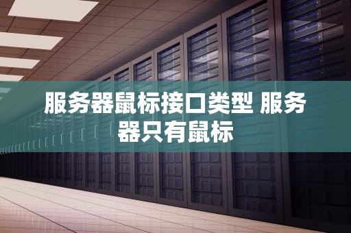 服务器鼠标接口类型 服务器只有鼠标