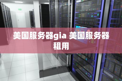 美国服务器gia 美国服务器租用