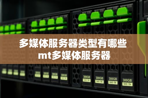 多媒体服务器类型有哪些 mt多媒体服务器