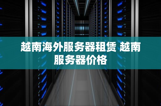 越南海外服务器租赁 越南服务器价格