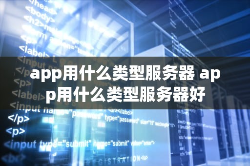 app用什么类型服务器 app用什么类型服务器好
