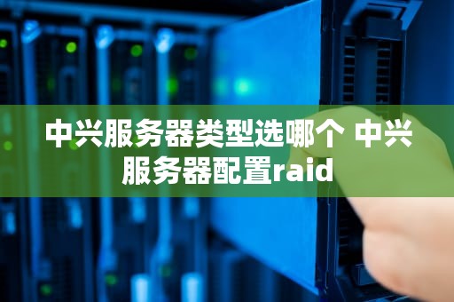 中兴服务器类型选哪个 中兴服务器配置raid
