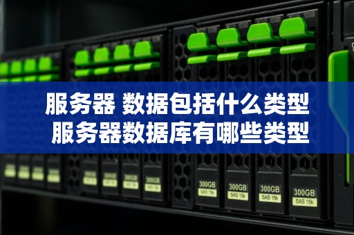 服务器 数据包括什么类型 服务器数据库有哪些类型
