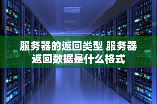 服务器的返回类型 服务器返回数据是什么格式