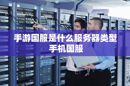 手游国服是什么服务器类型 手机国服