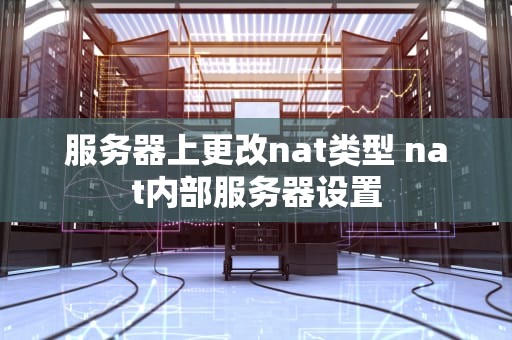服务器上更改nat类型 nat内部服务器设置