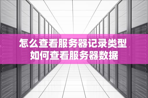 怎么查看服务器记录类型 如何查看服务器数据