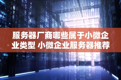 服务器厂商哪些属于小微企业类型 小微企业服务器推荐