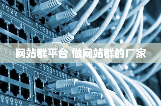 网站群平台 做网站群的厂家