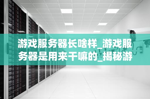 游戏服务器长啥样_游戏服务器是用来干嘛的_揭秘游戏服务器的神秘面纱