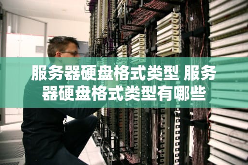 服务器硬盘格式类型 服务器硬盘格式类型有哪些