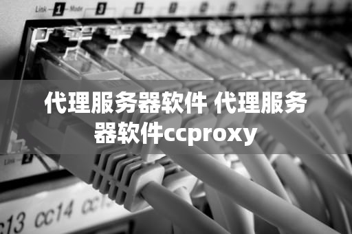 代理服务器软件 代理服务器软件ccproxy