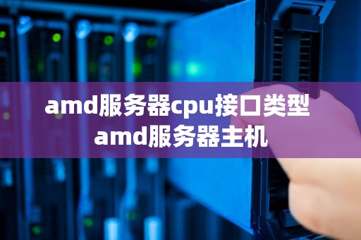 amd服务器cpu接口类型 amd服务器主机