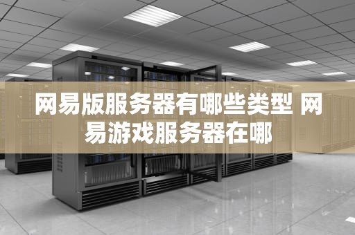 网易版服务器有哪些类型 网易游戏服务器在哪