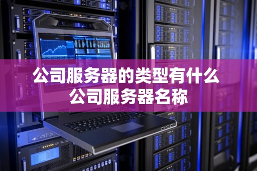 公司服务器的类型有什么 公司服务器名称