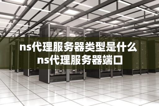 ns代理服务器类型是什么 ns代理服务器端口