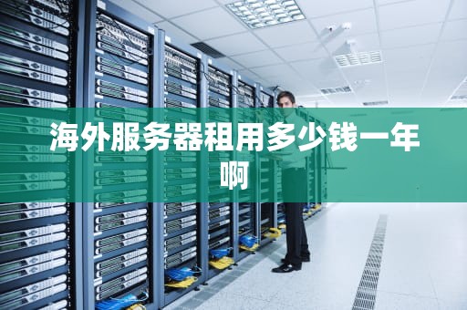海外服务器租用多少钱一年啊