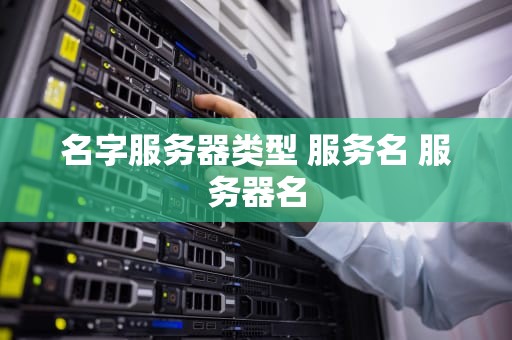 名字服务器类型 服务名 服务器名