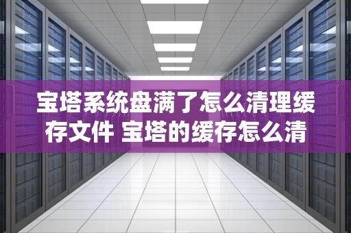 宝塔系统盘满了怎么清理缓存文件 宝塔的缓存怎么清理