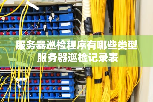 服务器巡检程序有哪些类型 服务器巡检记录表