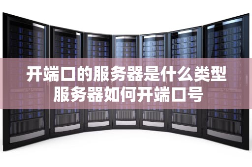 开端口的服务器是什么类型 服务器如何开端口号