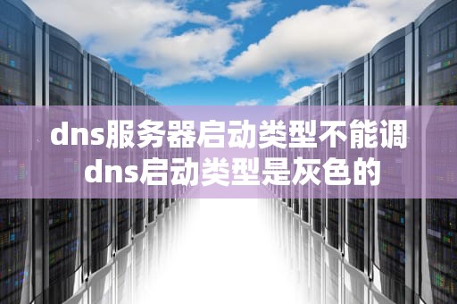 dns服务器启动类型不能调 dns启动类型是灰色的