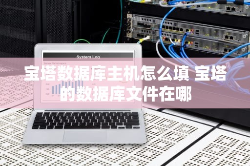 宝塔数据库主机怎么填 宝塔的数据库文件在哪