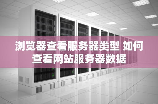 浏览器查看服务器类型 如何查看网站服务器数据