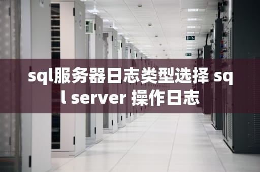 sql服务器日志类型选择 sql server 操作日志