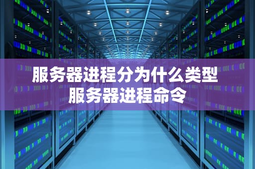 服务器进程分为什么类型 服务器进程命令