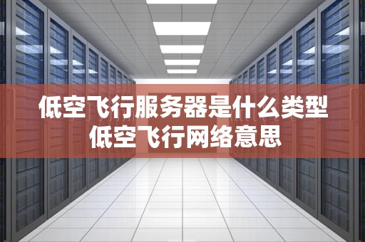 低空飞行服务器是什么类型 低空飞行网络意思