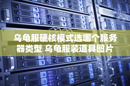 乌龟服硬核模式选哪个服务器类型 乌龟服装道具图片大全
