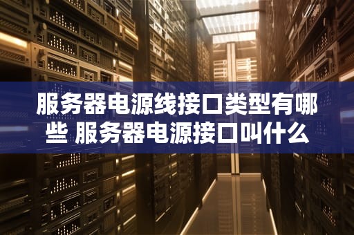 服务器电源线接口类型有哪些 服务器电源接口叫什么