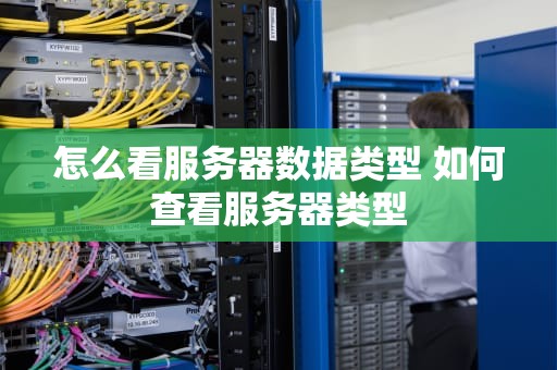 怎么看服务器数据类型 如何查看服务器类型