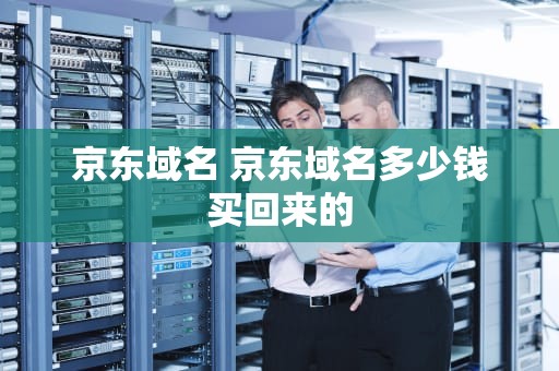京东域名 京东域名多少钱买回来的