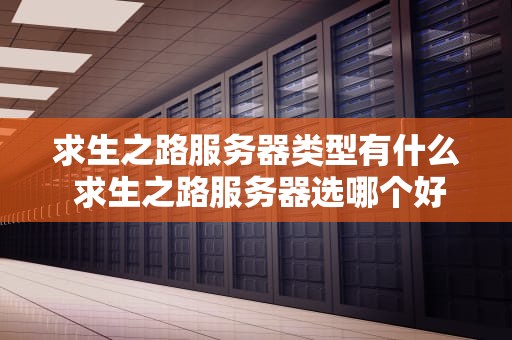 求生之路服务器类型有什么 求生之路服务器选哪个好