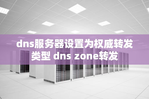 dns服务器设置为权威转发类型 dns zone转发