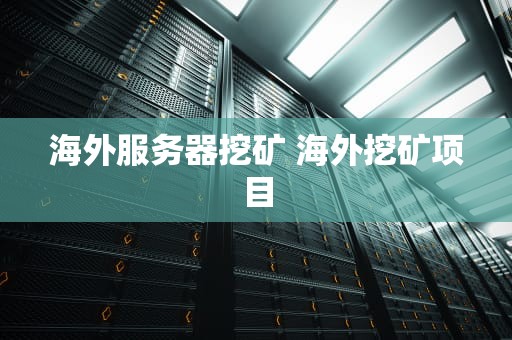 海外服务器挖矿 海外挖矿项目