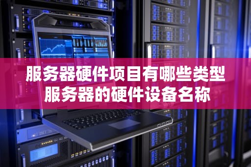 服务器硬件项目有哪些类型 服务器的硬件设备名称
