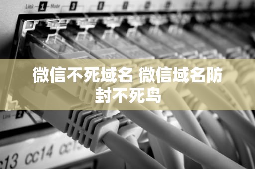 微信不死域名 微信域名防封不死鸟