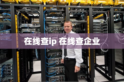 在线查ip 在线查企业