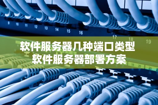 软件服务器几种端口类型 软件服务器部署方案